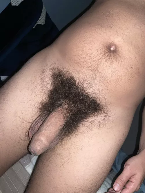 My cock and its thick bush
