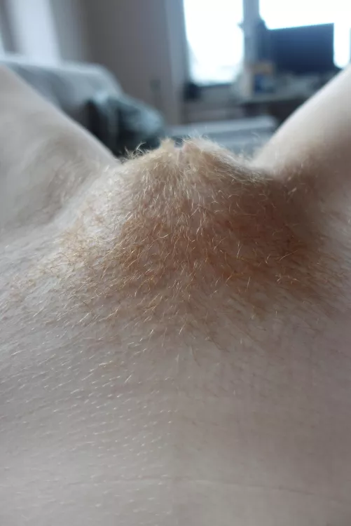 Not long ago it started growing and I already like it