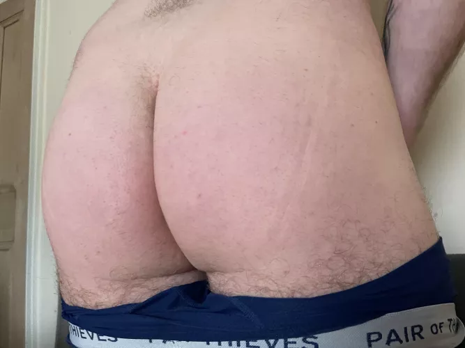 Should I keep it shaved or let it go back to being fuzzy?