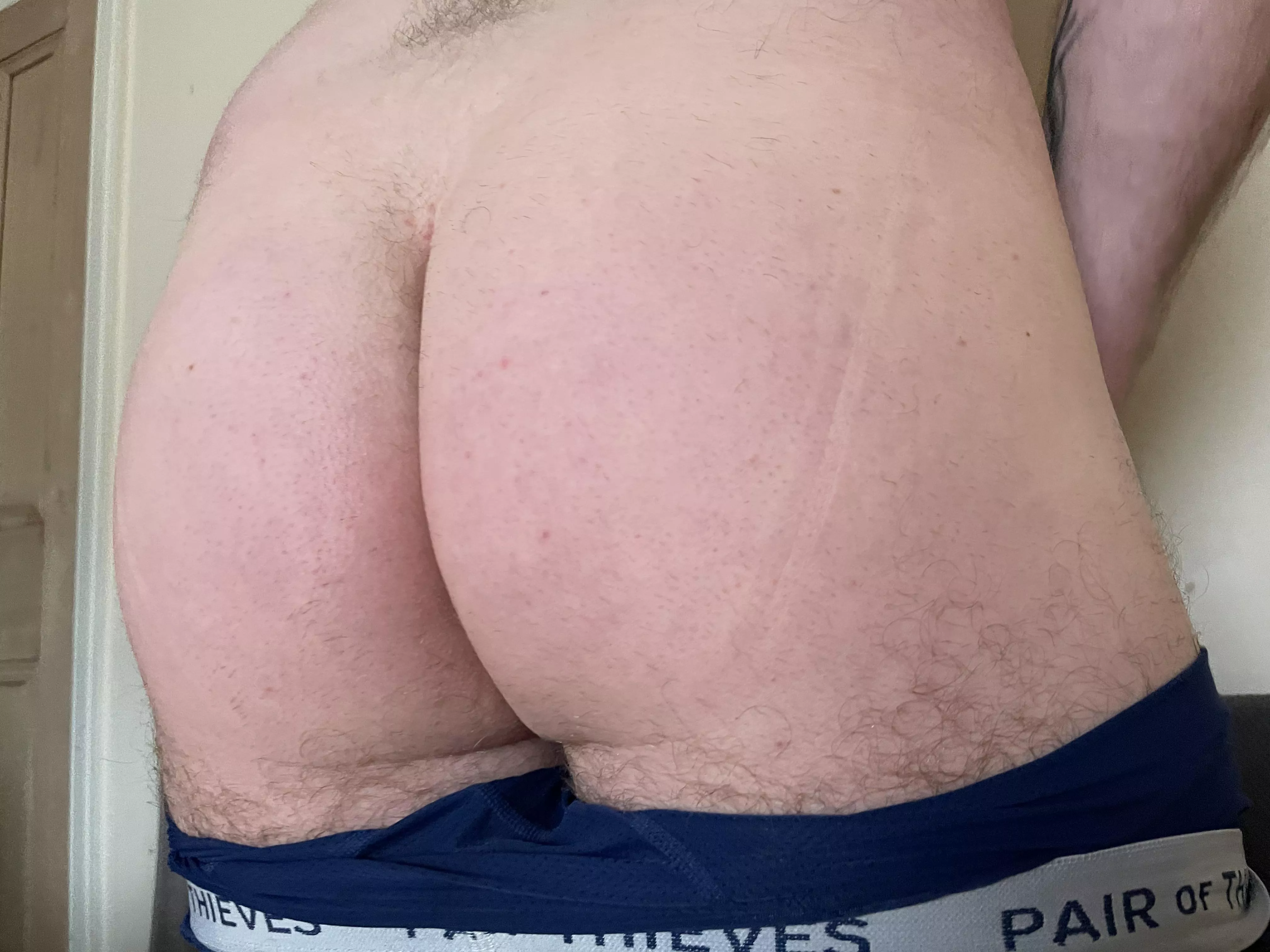 Should I keep it shaved or let it go back to being fuzzy?