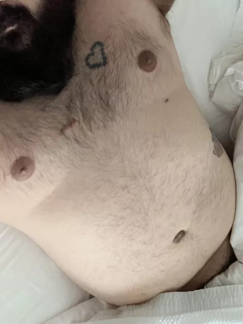 Sneak into my hotel room and hop on without saying a word.