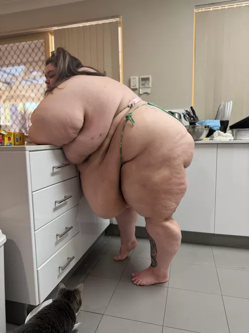 The fatter I get, the more jiggly I am