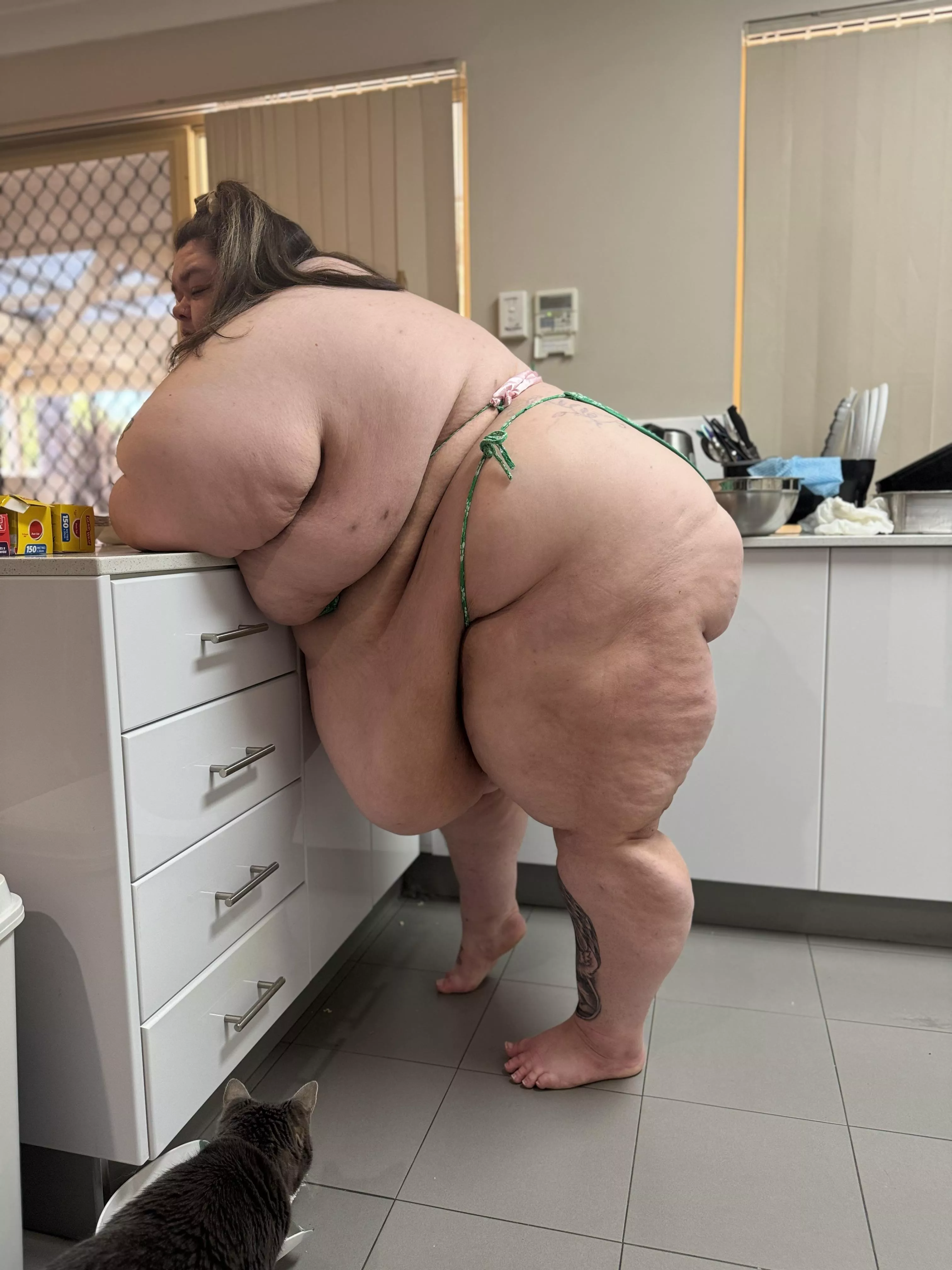 The fatter I get, the more jiggly I am