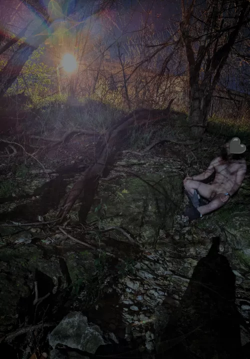 Went hiking along the creek.