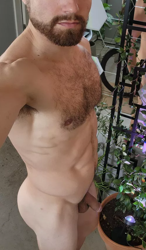 Who wants to get me hard?