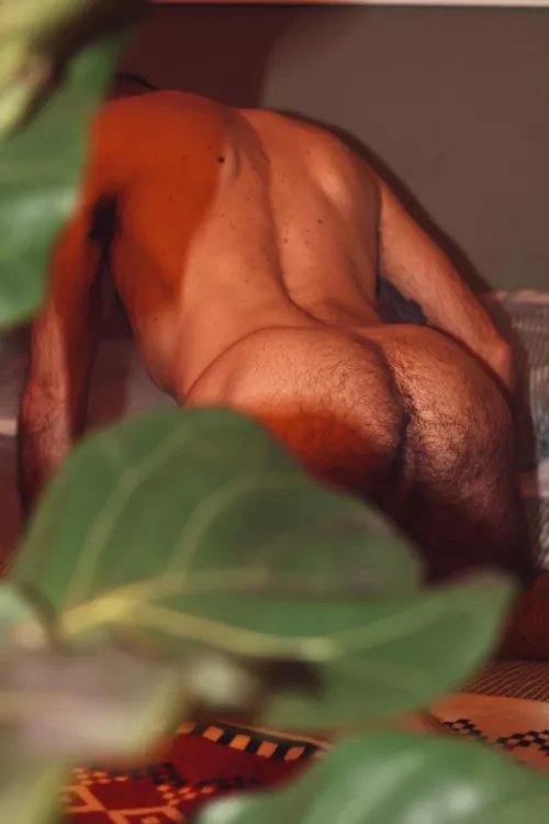 Who wants to seed me?