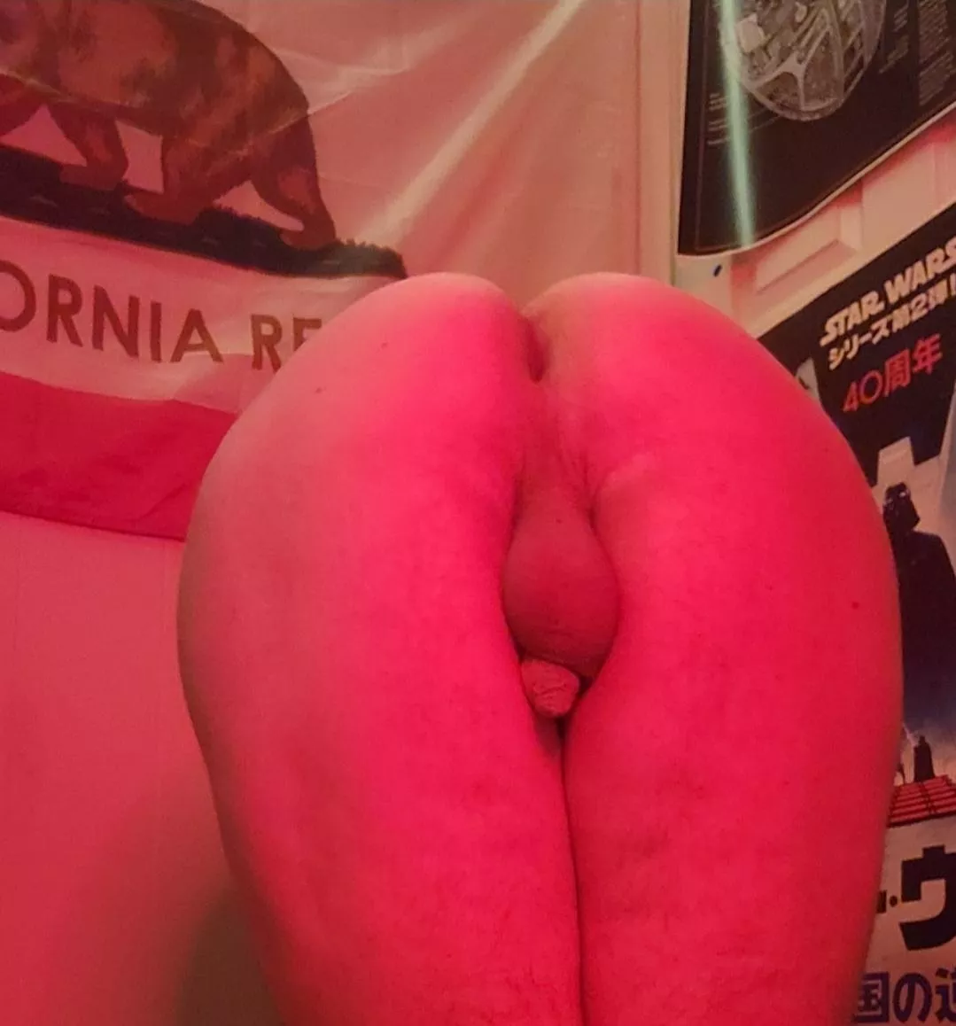 Would you fuck a trans gamer girl?