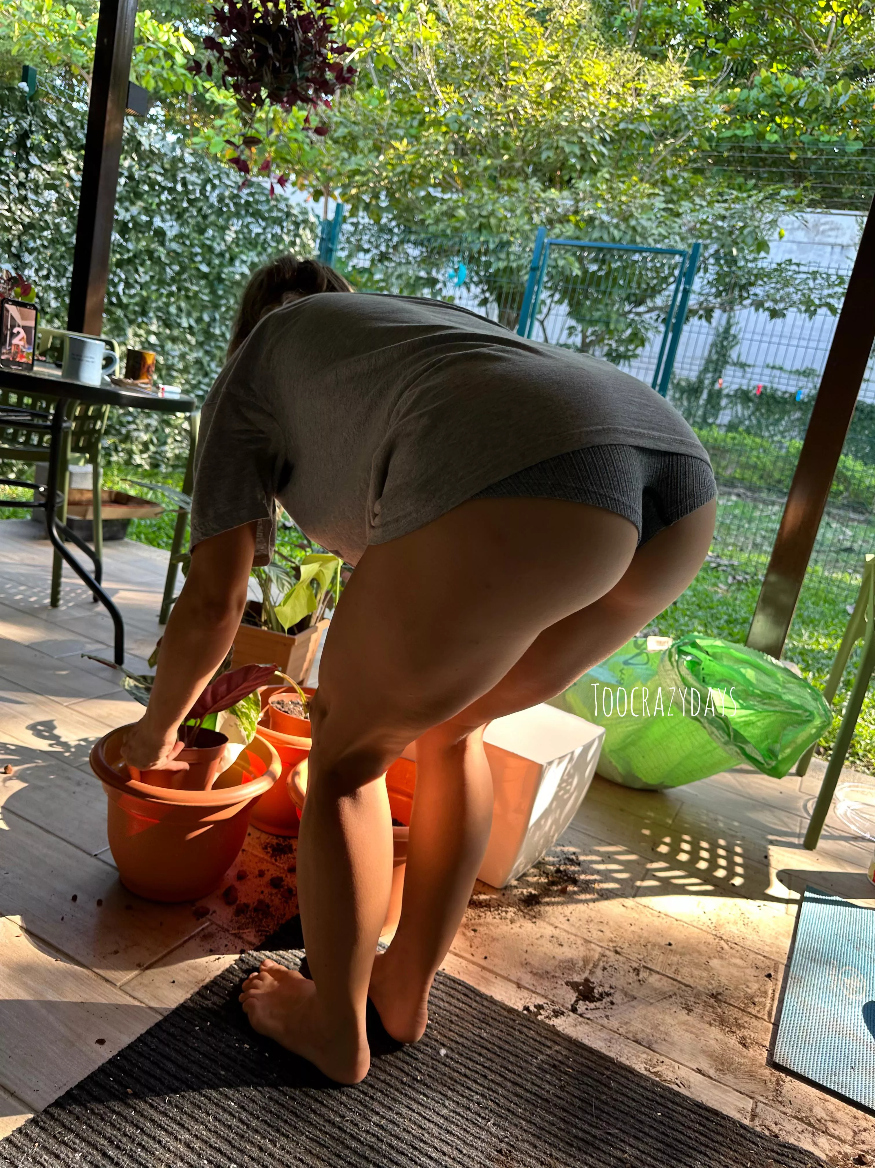 You can help play in my backyard too