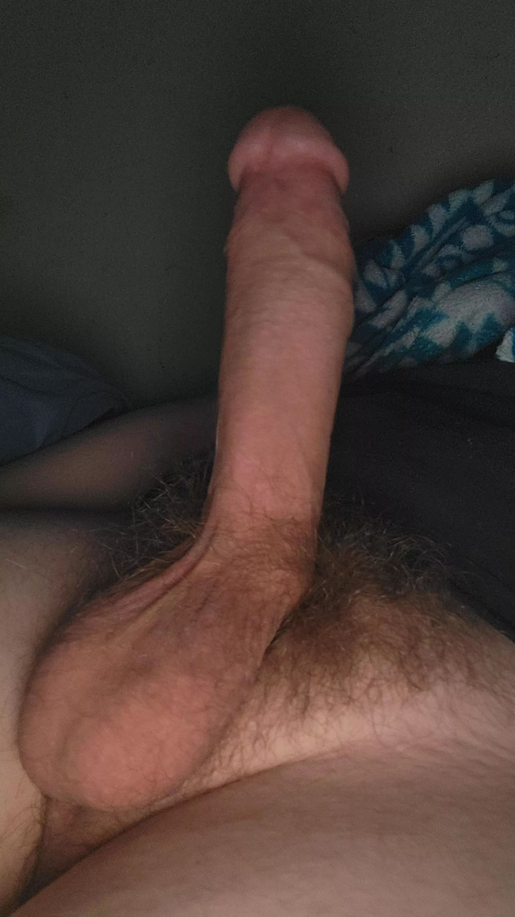 8 inches of hard cock
