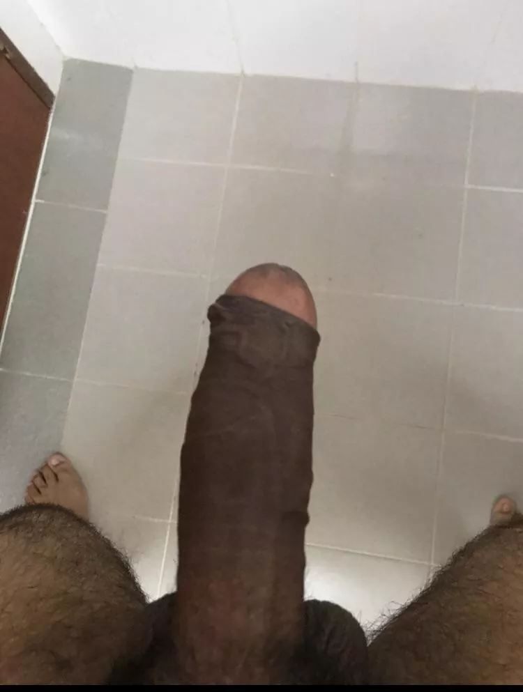 Anyone wants a bull in Singapore?