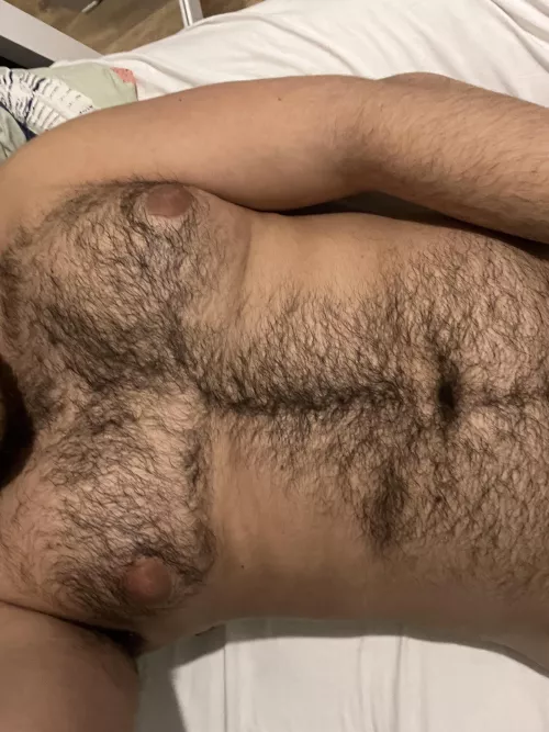 Arab extreme hairy chest