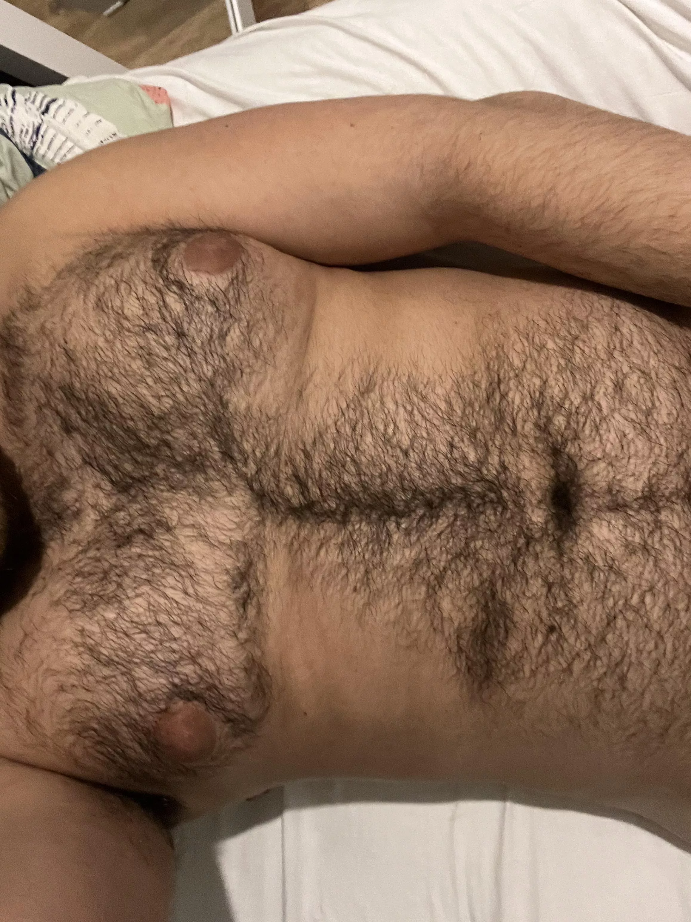 Arab extreme hairy chest