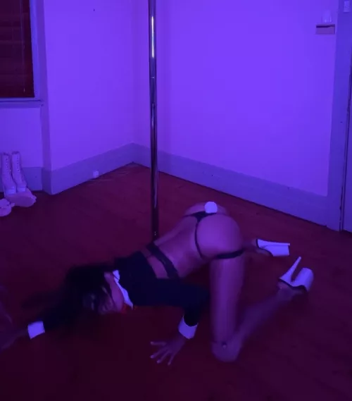 Bad bunny getting into position ☺️🙈