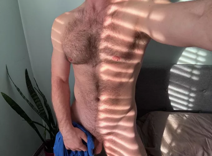 Do you like waking up to fresh sunlight? [37]