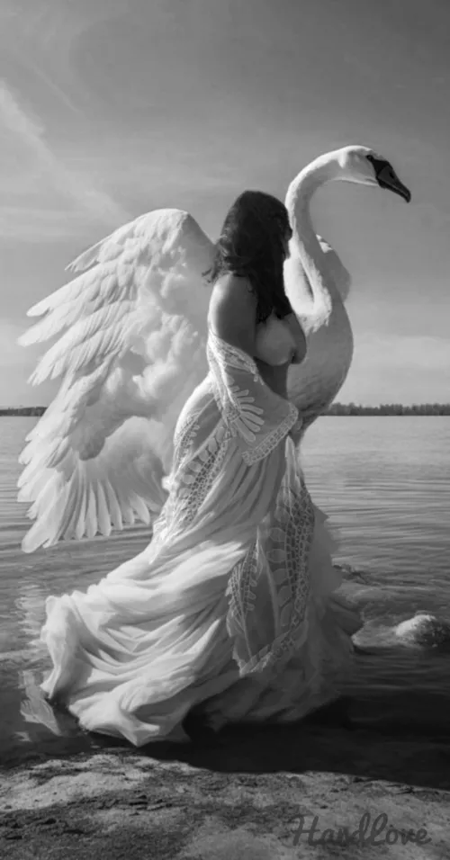 🔥🔥🎶Fly with us, through the trees🎶 Over sand, overseas🎶