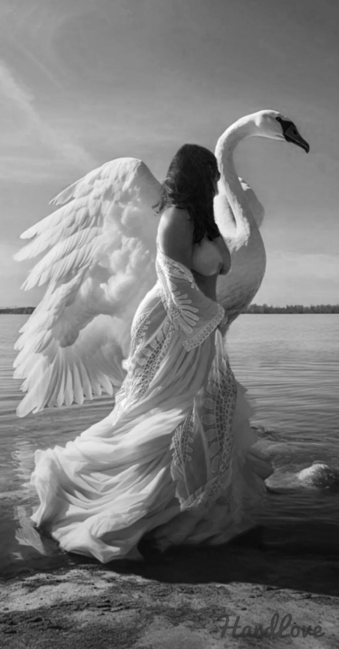 🔥🔥🎶Fly with us, through the trees🎶 Over sand, overseas🎶