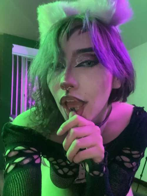 Give your kitty some milk