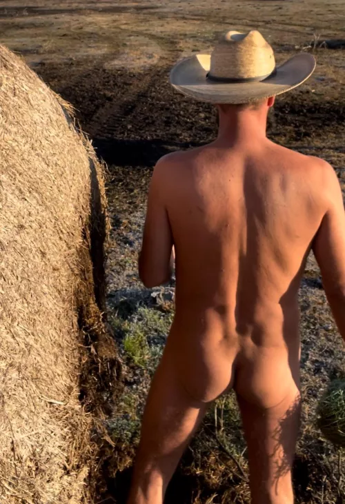 Hump day on the farm