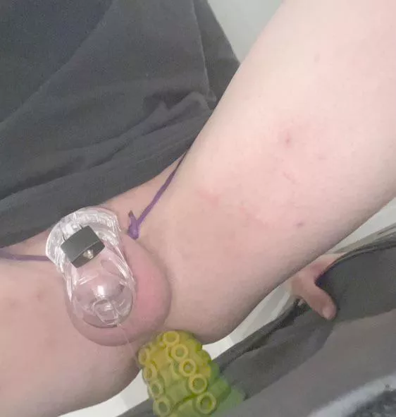 Is this how whitebois have sex