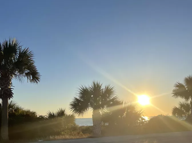 Just another beautiful day at the beach 🏝️ OC