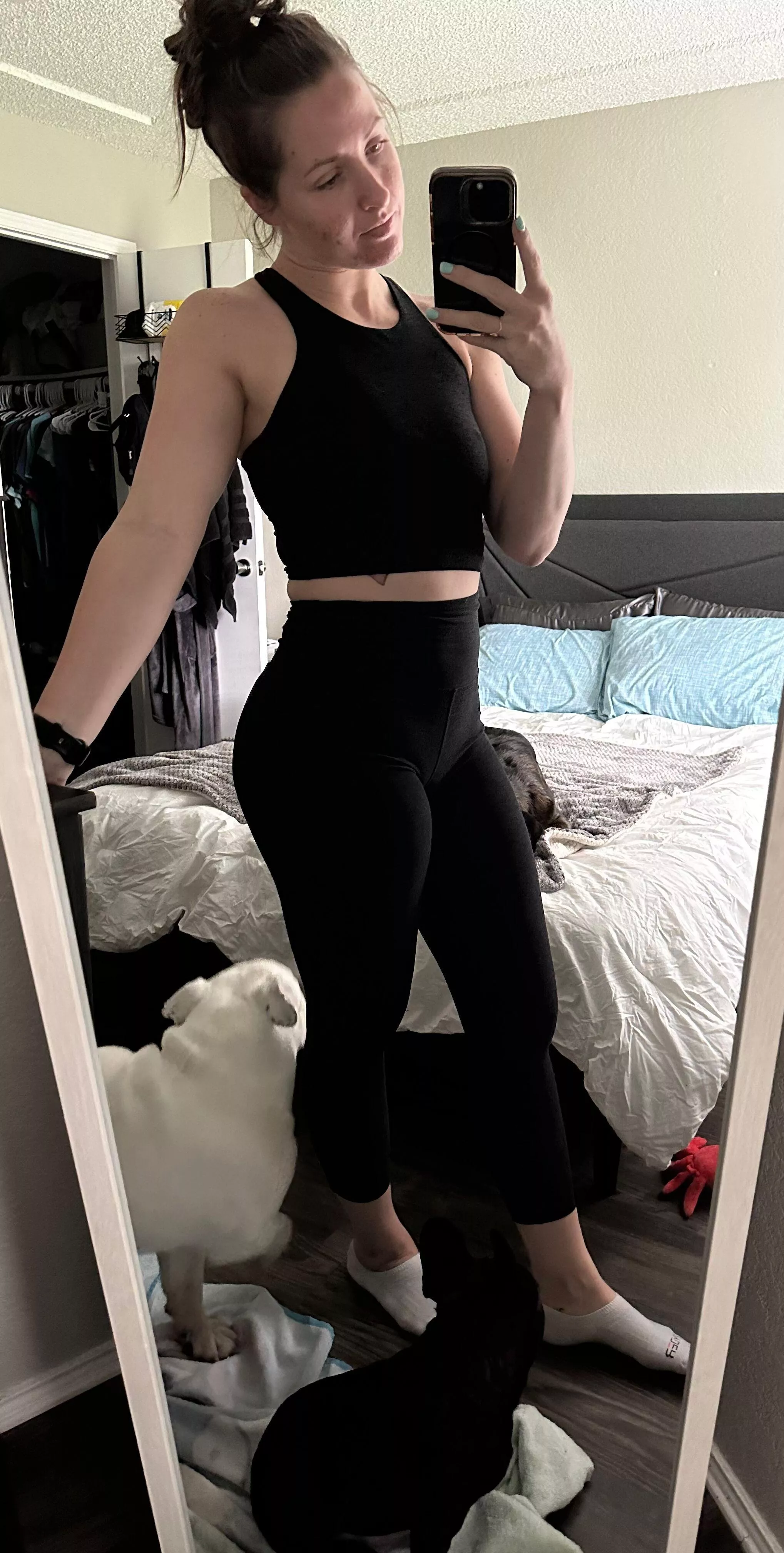 just trying to be cute for you but the dogs are not having it