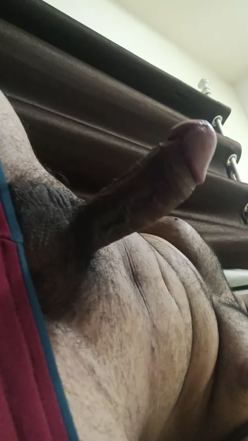 Lick the tip or whole?