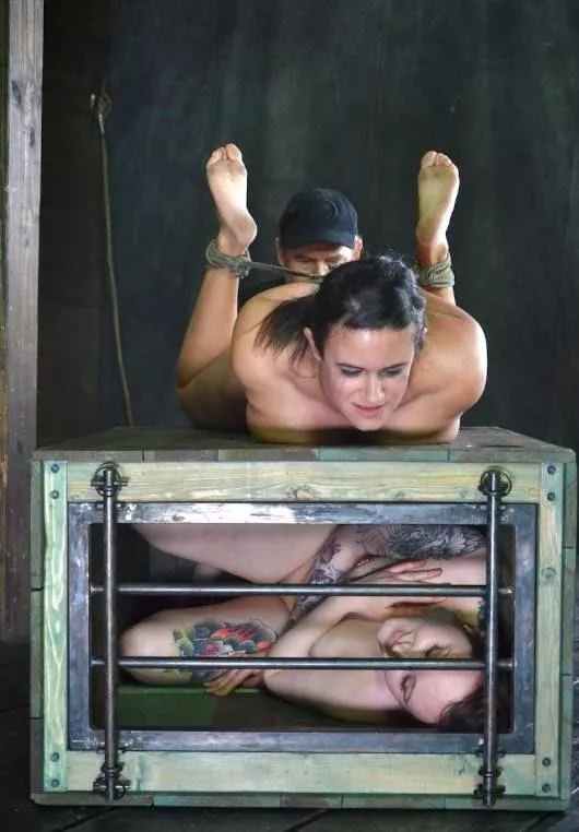 One vintage in the box, one to be played with