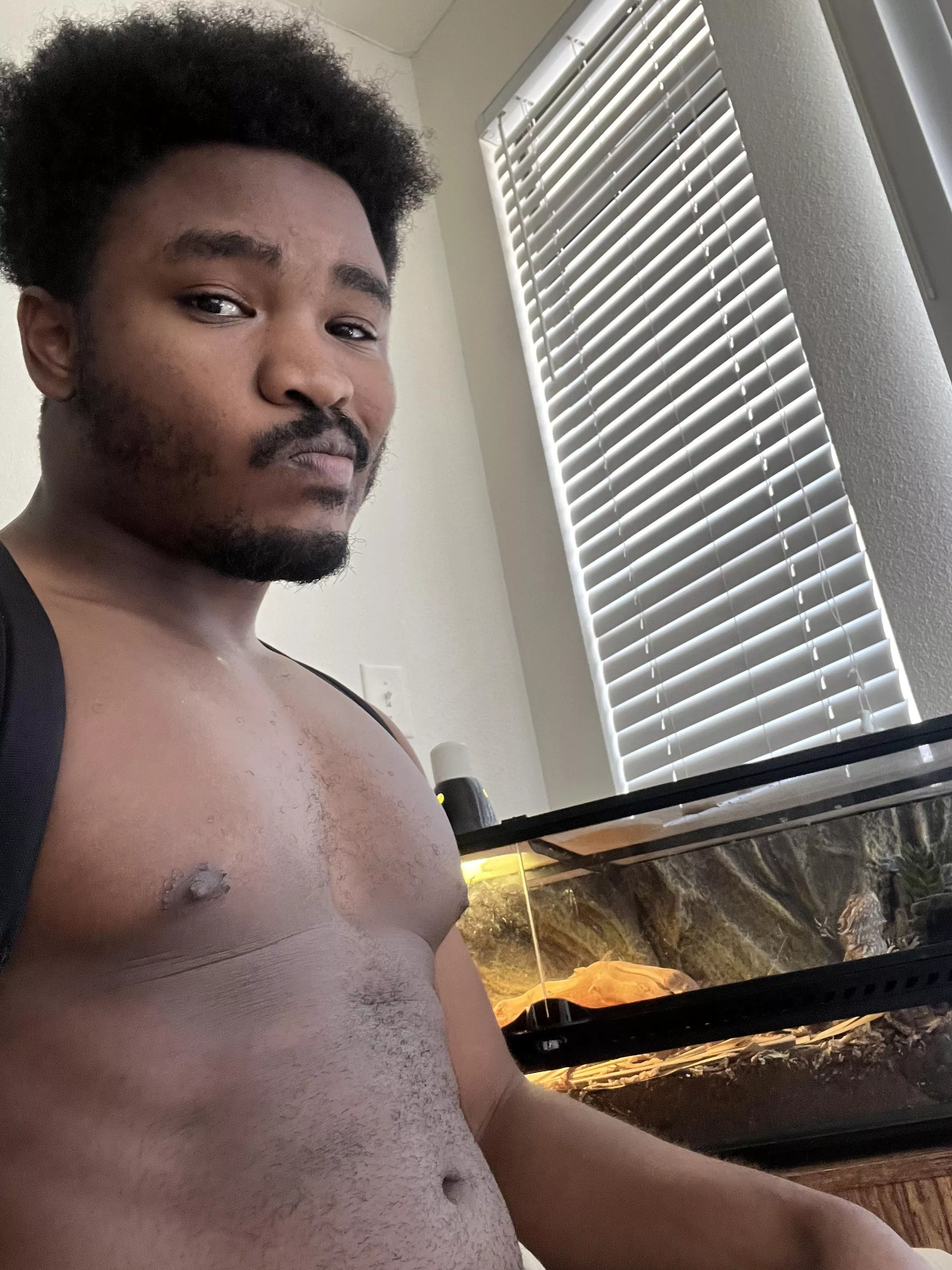 Played pal worlds way to long now I’m expecting my lizard to help me cook Played pal worlds way to long now I’m expecting my lizard to help me cook