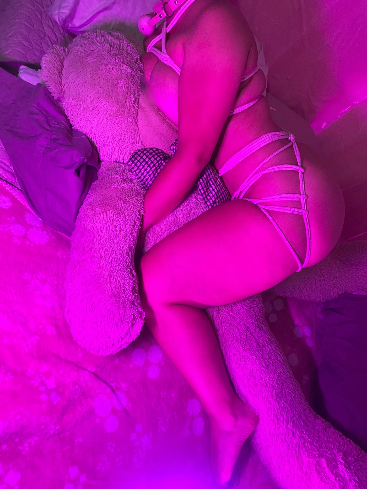 🌸Soft Contrast: Cuddles and Control🦩