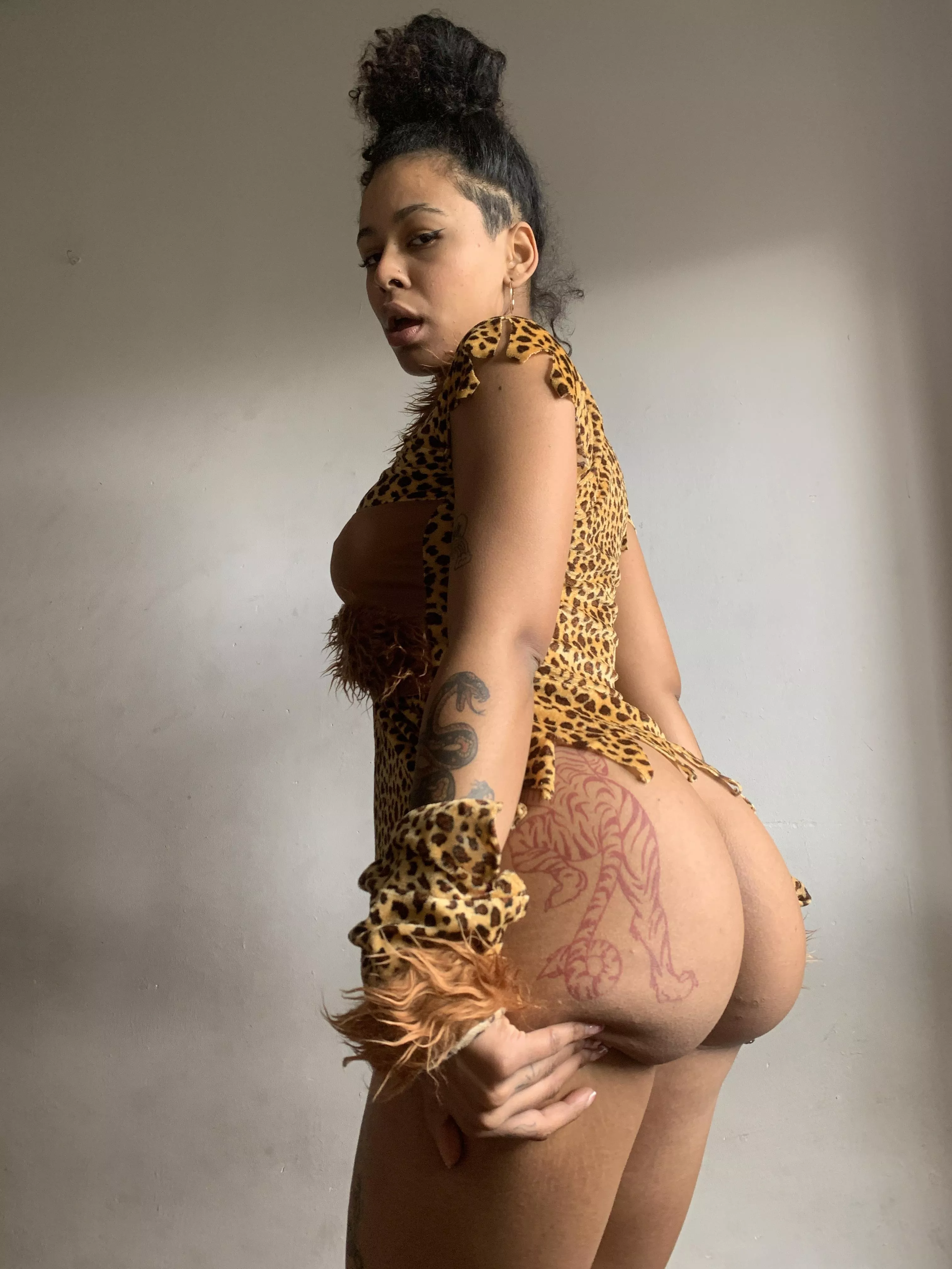 The wildest cat is here to hunt you