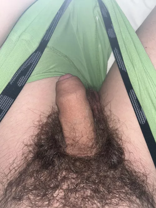 To the 4 people that see this, do you like morning wood?🥵