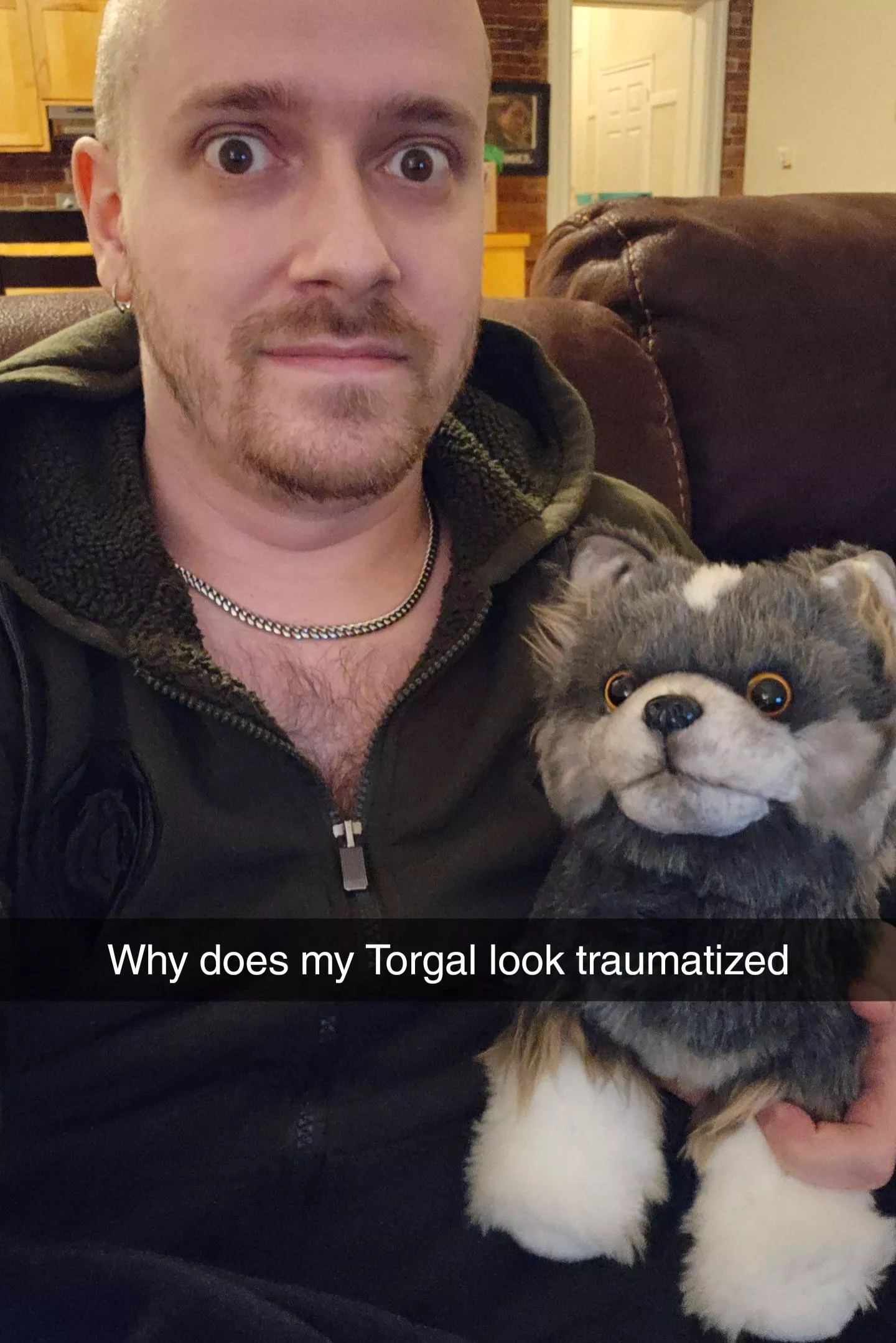 Torgal survived the shipping process, but it left some scars