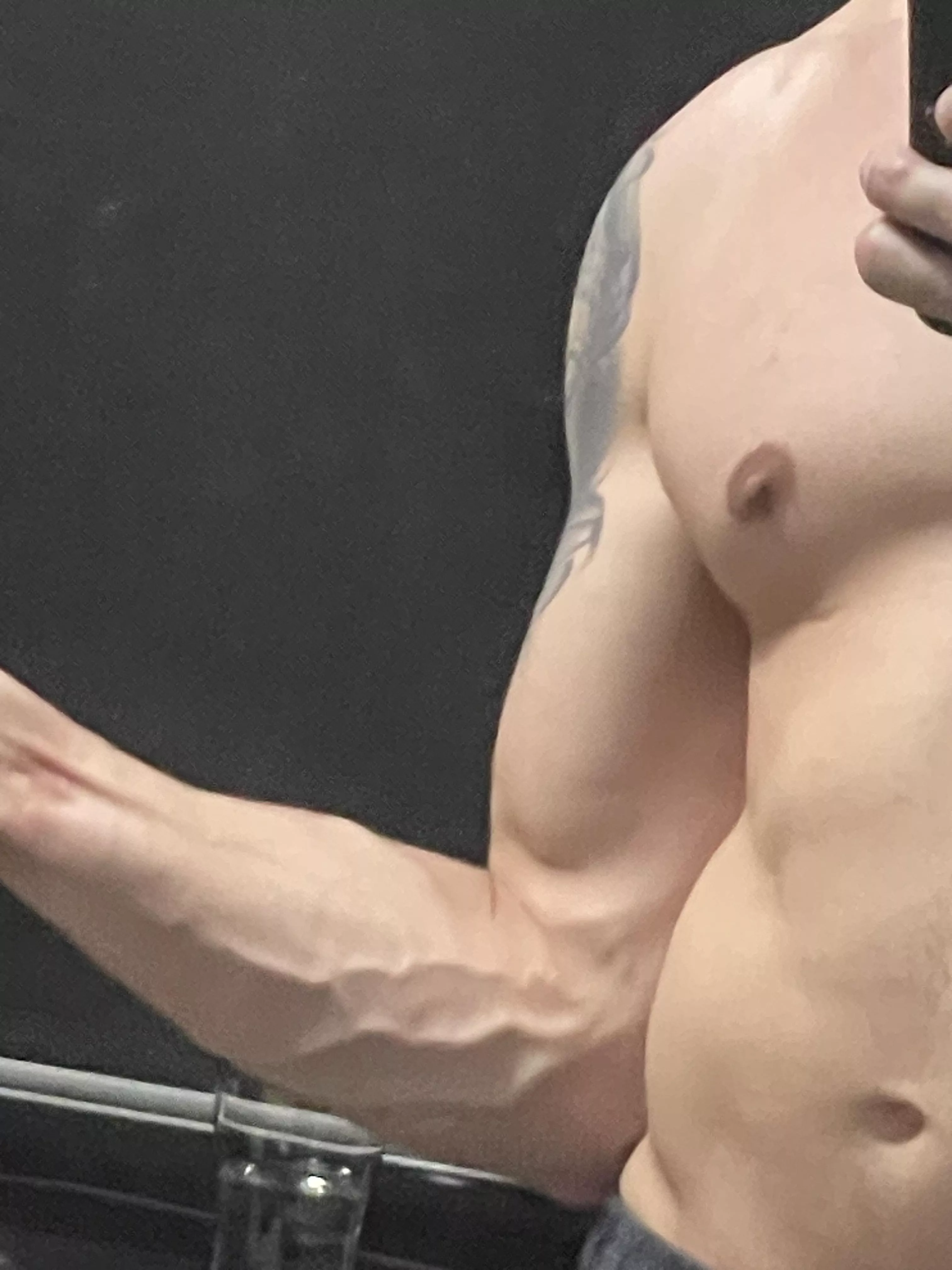 Veins