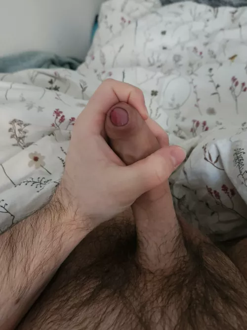 21m vers college guy for chill guys. Trade with face+ hmu matty_hh21