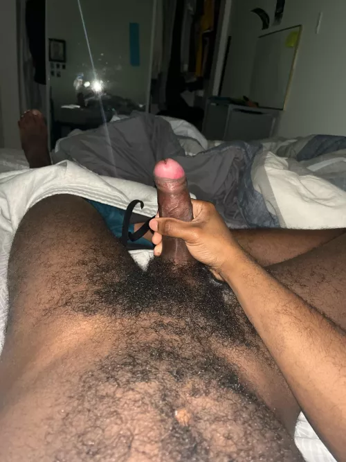 23 curious fit/hairy BBC looking for a fit/hung bro to jerk off with. snap:spetrov2025