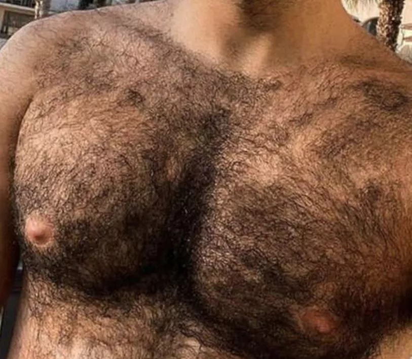40m hairyhairy11