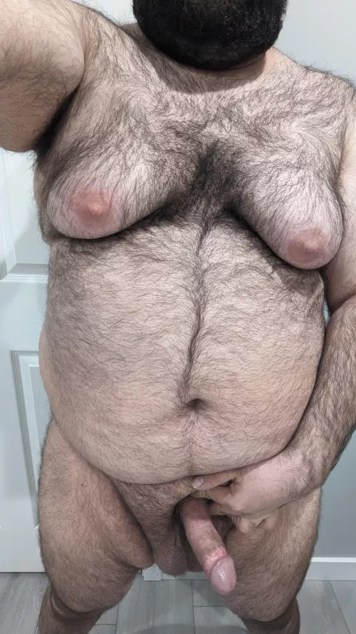 Armenian breeding stud.