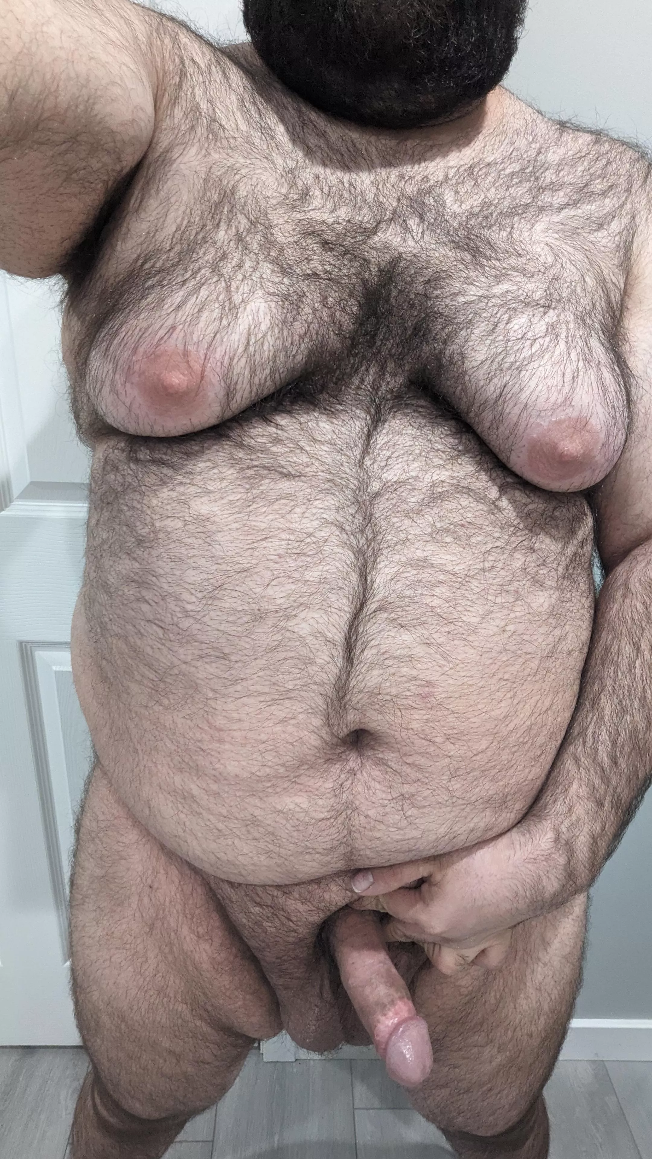 Armenian breeding stud.