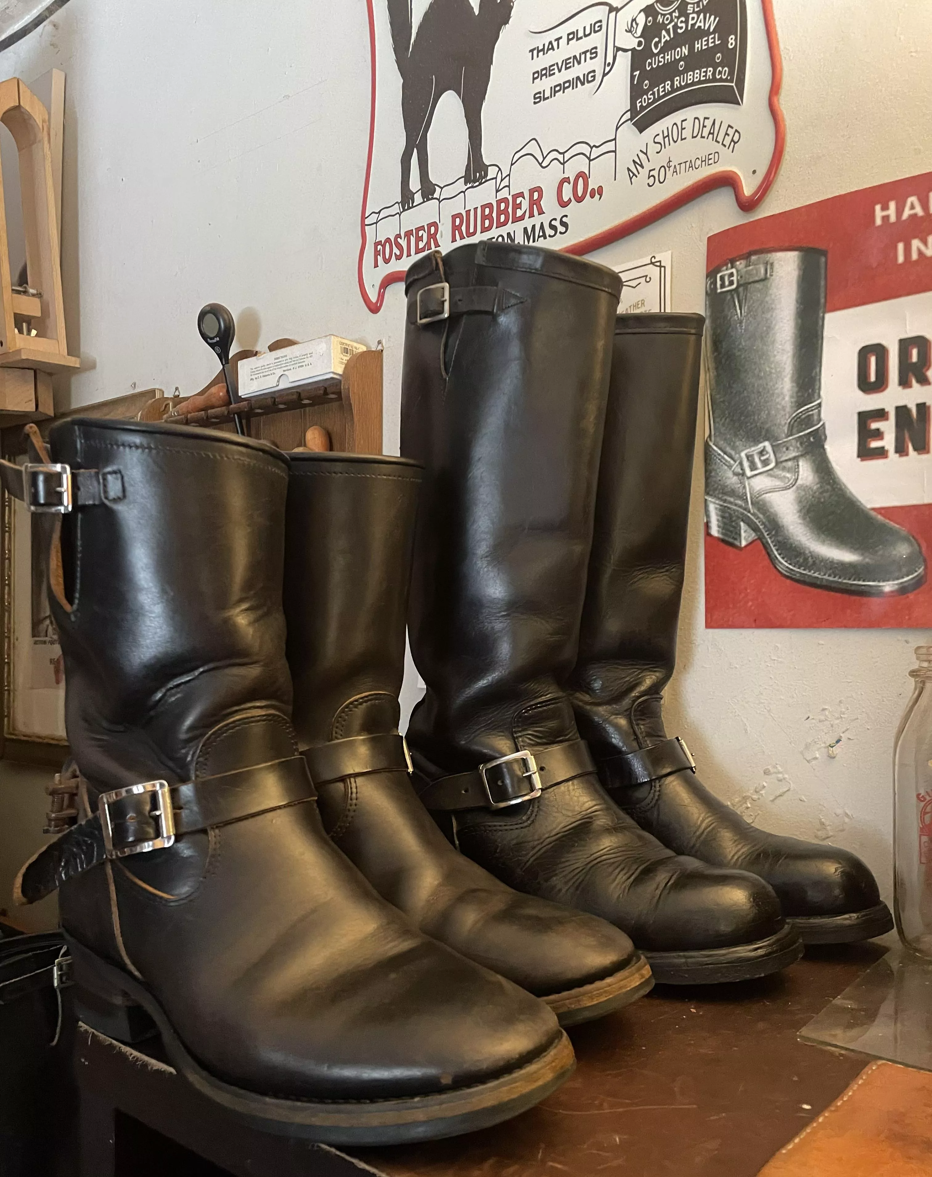 Attraction's and Chippewa