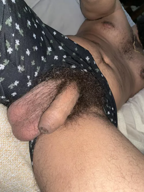 Come see more, my big and full balls and the thick bush