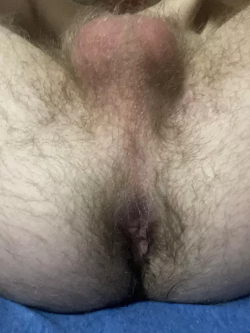 Do you like my hairy ass?