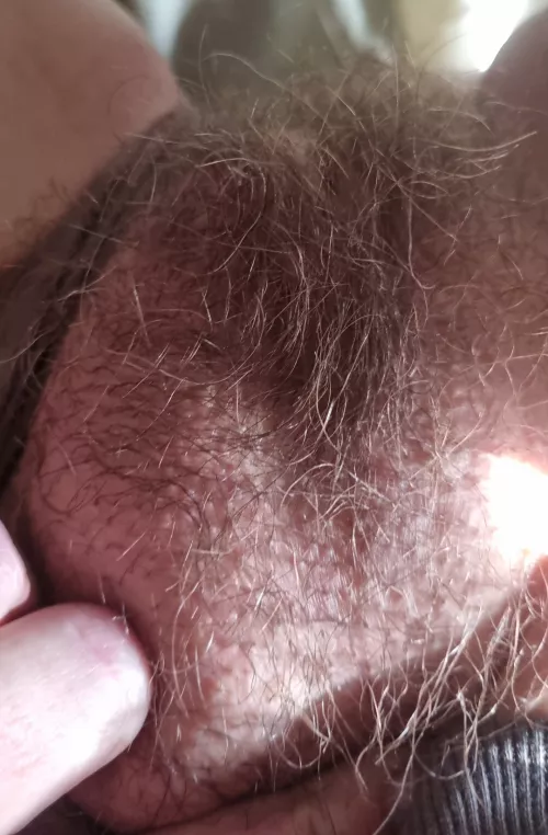 Hehe giving the jungle some Vitamin D at work this afternoon