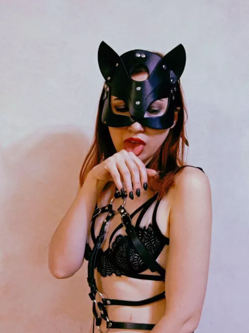 I'll be your kitty tonight