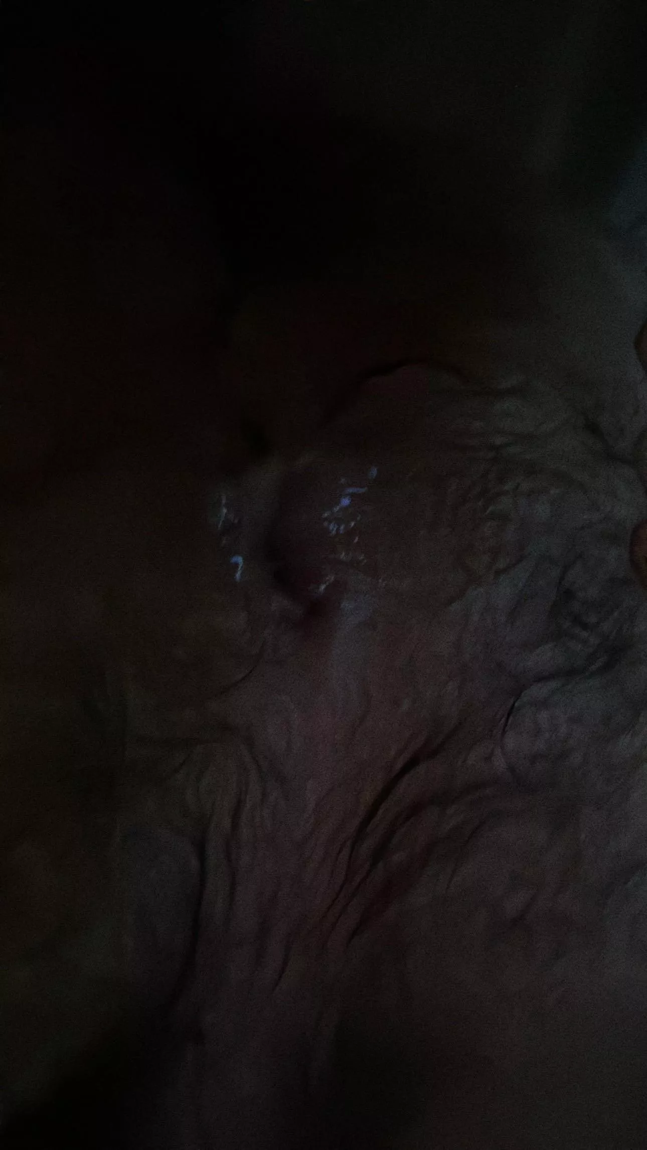 Love getting my hairy ass filled with cum