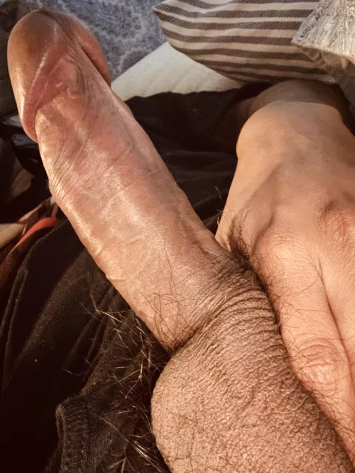 Morning relaxation 😌