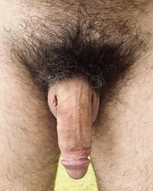 My penis smells like last night's fuck. Wanna suck it clean?