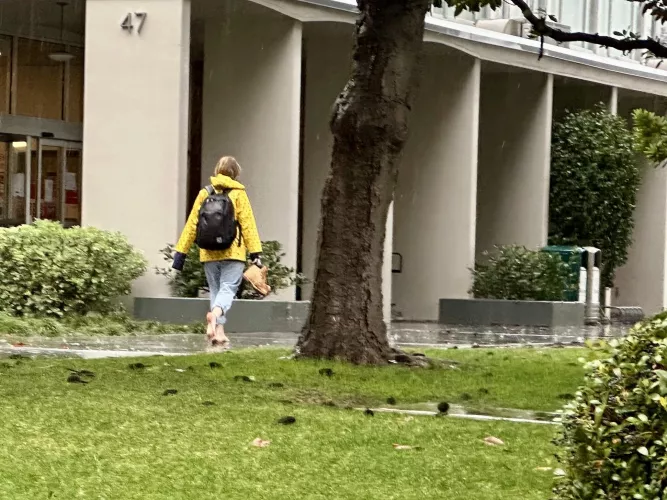 Not sure this is intended use in case of wet conditions (SoCal)