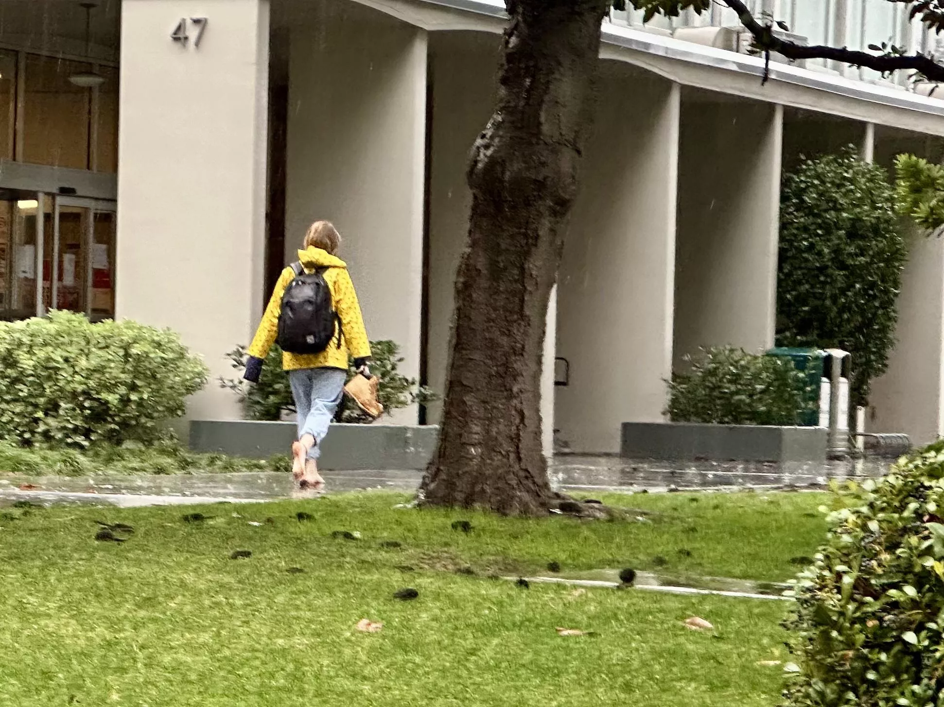 Not sure this is intended use in case of wet conditions (SoCal)