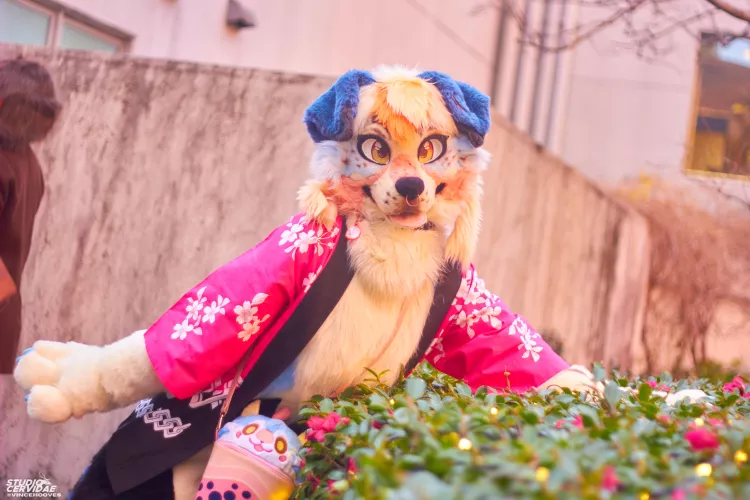 Oh! Hello there! 🌸🐶 [ @Indiecolliee on twitter]