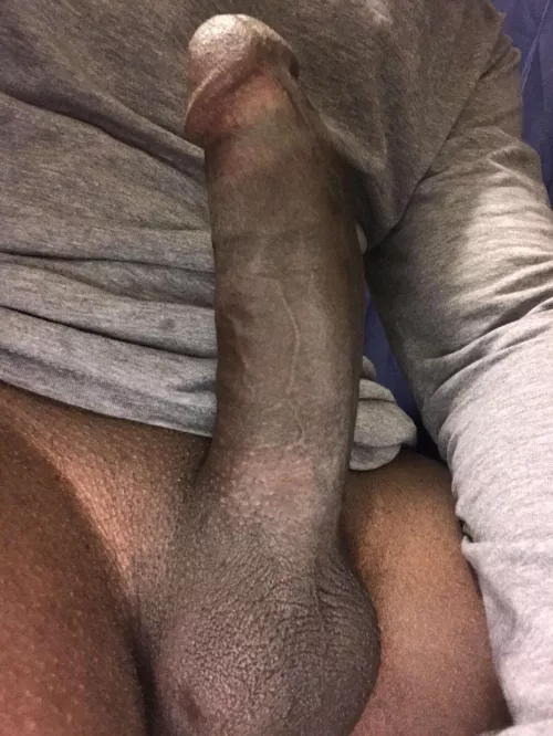 On high alert 🚨 🚨 🚨